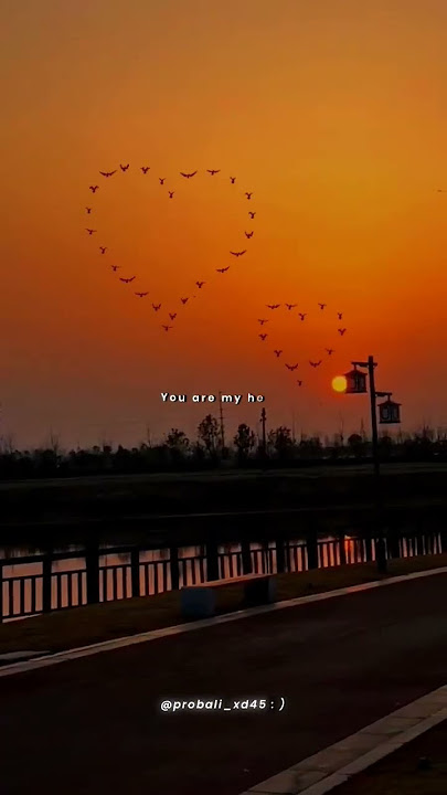 Gori Tere Jeha Hor Na Koi Mileya 🌷💖||Slowed-Reverb|Aesthetic Status 🦋 || ✨️Love Status 💫 #shorts