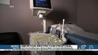 State Republicans propose abortion restriction bill