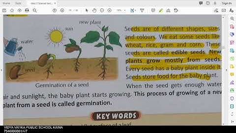 class 3 science chapter 6 parts of a plant part 3 final
