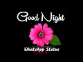 Good night whatsapp status  good night special  good night love shayari  new shayari