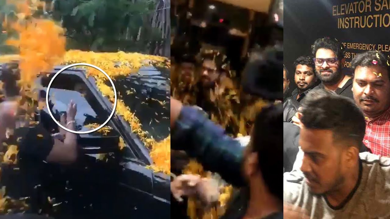 Prabhas Superb Craze At AMB Cinemas | Saaho Movie | Daily Culture