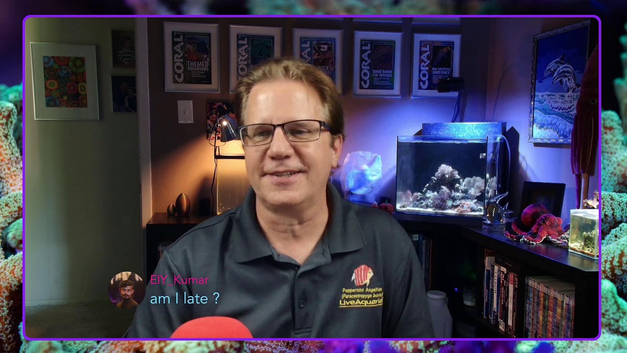 Перезагрузка рифа началась всерьез