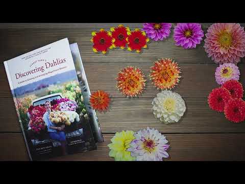 Floret Flower Discovering Dahlia's Book Unboxing