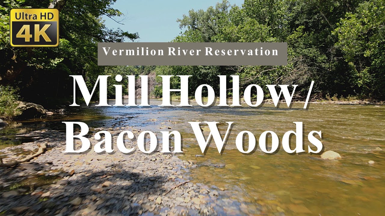 Mill Hollow / Bacon Woods Vermilion River Reservation, Ohio [4K] YouTube