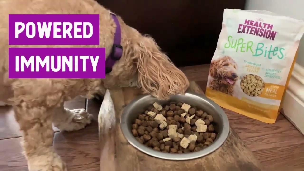 Health Extension SuperBites Freeze Dried Raw - Chicken Recipe