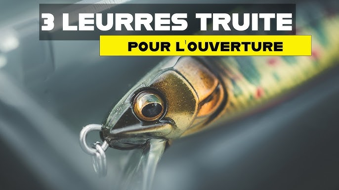 La pêche de la truite au leurre en réservoir, une bonne option durant la  fermeture ! - DPSG