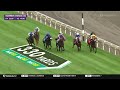 2026 $500,000 Summer Stakes (G1)