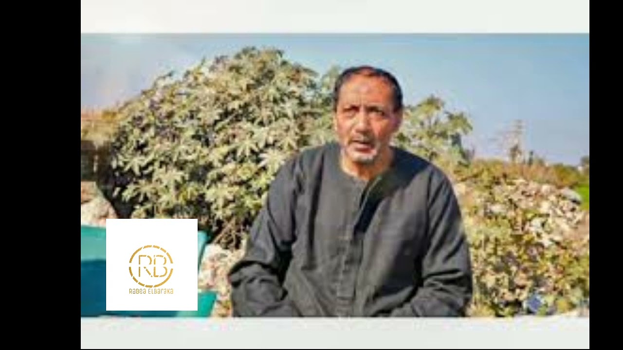 #المهندس_ربيع_البركة#القارة