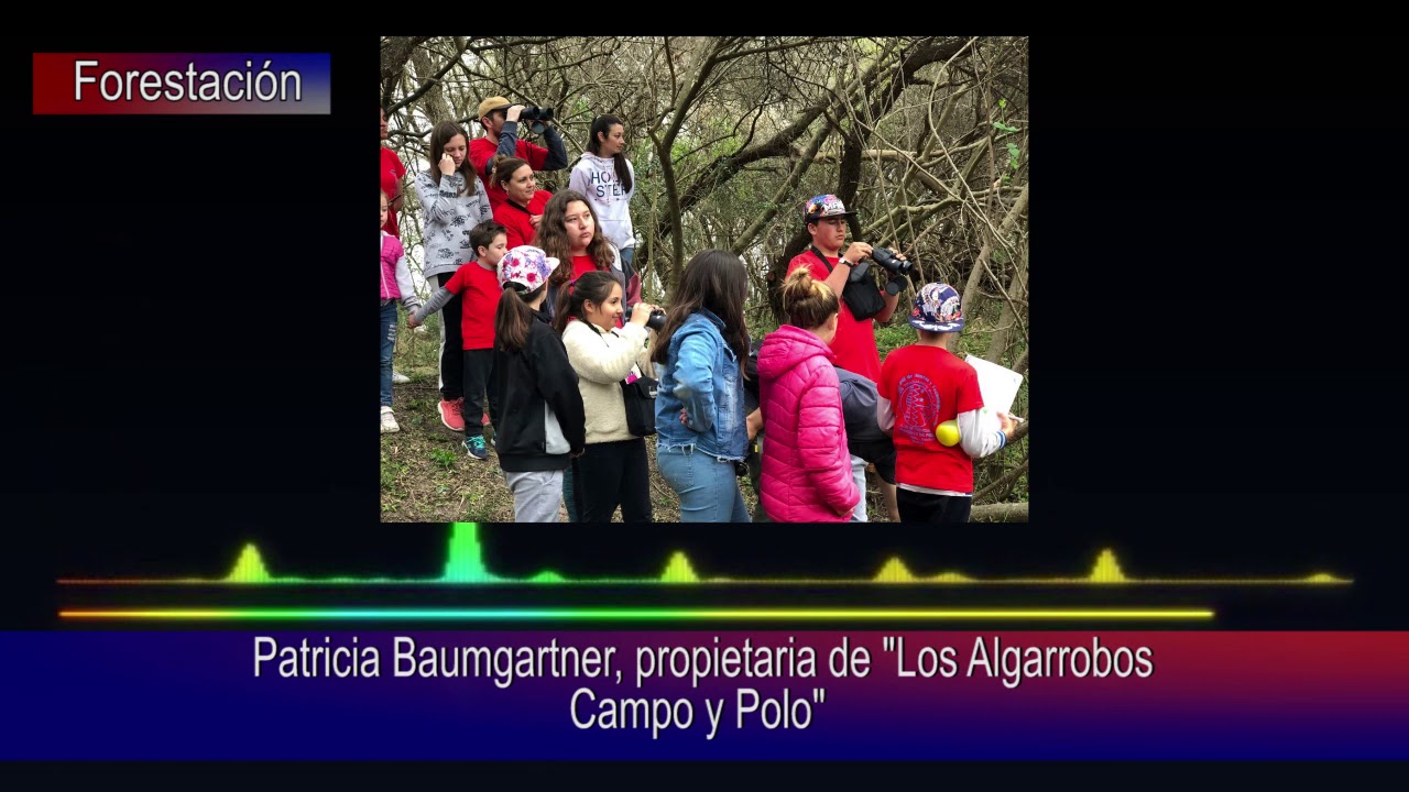 Forestación de "Los Algarrobos Campo y Polo"