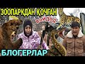 ЗООПАРК КУРМАГАН БЛОГЕРЛАР БУ НИМАСИ.....(охунов тв)