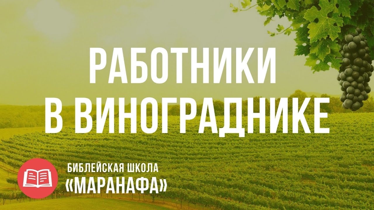 Притча о Работниках в винограднике | Библейская Школа Маранафа - YouTube
