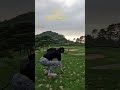 Par 3 홀인원도전