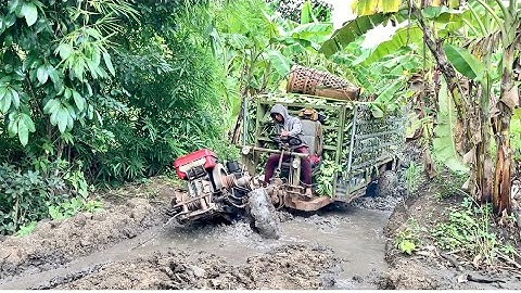 Review xe công nông 2 cầu chở chuối gặp những đường lầy lội nhất và cái kết