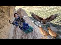 🐦🏔️ Rescuing Baby Quails in the Zagros | Ismat’s Wilderness Adventure 🌿