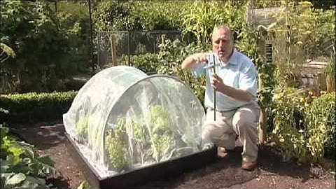 Link-a-Bord Kit with Insect Mesh Netting