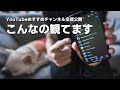 おすすめYouTubeチャンネル全部公開【こんなの観ています】