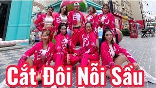 Cắt Đôi Nỗi Sầu - Tăng Duy Tân | Choreo Thuận Zilo