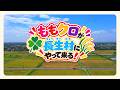 カントリーローズ -時の旅人-
