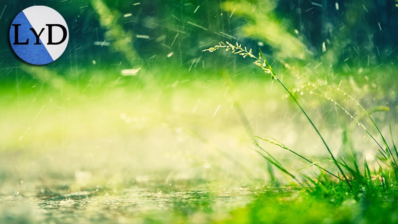 Música Relajante | Música para Dormir con Sonido de la Lluvia para la ...