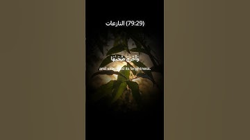 سوره نازیات (آیه 27 تا 33)