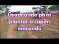 Gradeando para plantar o capim marandu