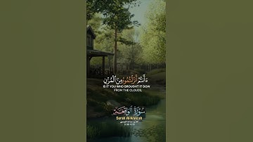 القران الكريم #الرحمن #اكسبلور #audio #دويتو #capcut #المصحف #duet #cat #edm
