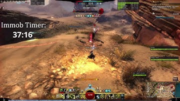 1v1 roaming as Immob Druid vs Scourge