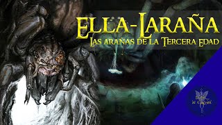 La vida de ELLALARAÑA  | Las arañas de la Tercera Edad