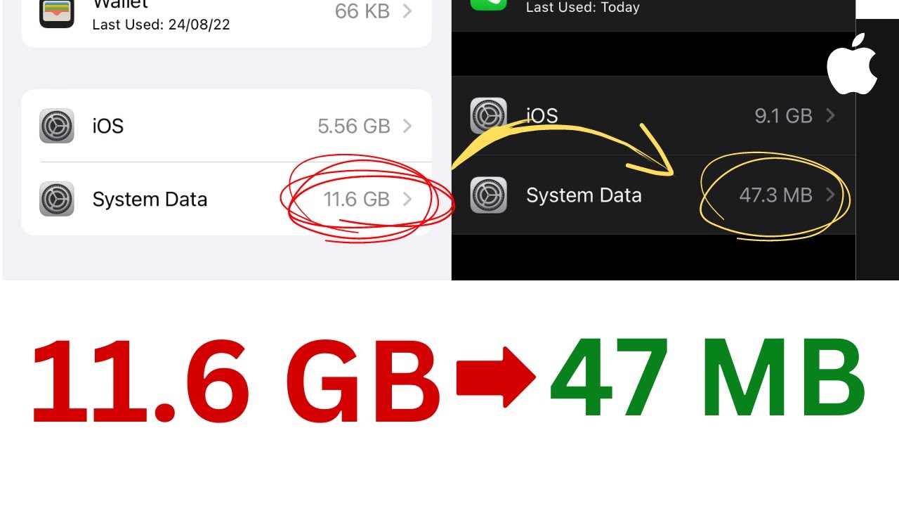 iPhone storage full? How to free up space on iPhone