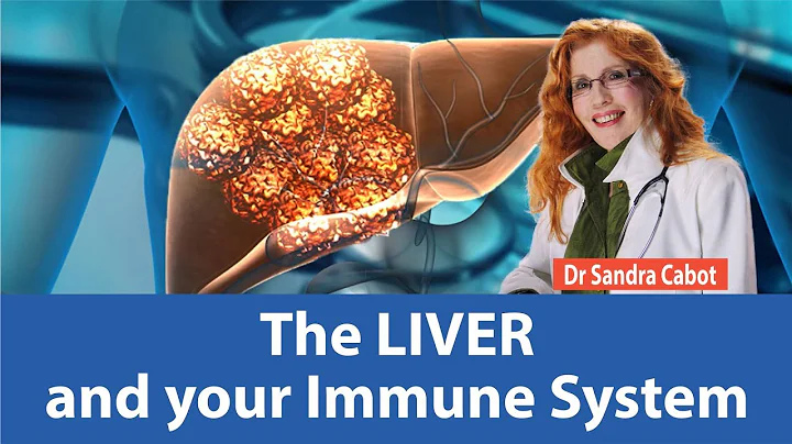 Increasing allergies? Find Out Why. Discover Link Between Your Liver and your Immune System. - DayDayNews