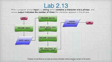 SNHU IT-140 Module 1 Lab Review