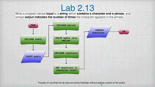 SNHU IT-140 Module 1 Lab Review