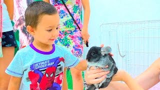 Развлечение для детей КОНТАКТНЫЙ ЗООПАРК ВИДЕО ДЛЯ ДЕТЕЙ Entertainment for children zoo(Андрей и Вика посетят выставку ручных хищников и пушистиков со всего мира «ZOO чудеса». Они обязательно всех..., 2016-10-19T15:24:57.000Z)