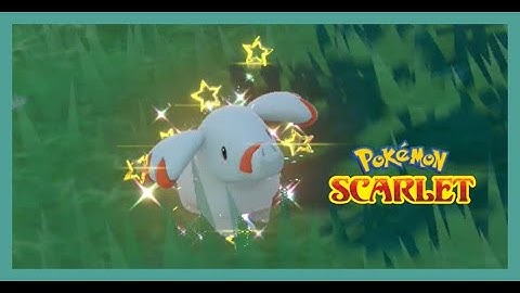 Random Marked Shiny Phanpy in Pokemon Scarlet and Violet