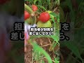 58歳、日雇いの現場で若者に逃げられた私が、封筒を開けて言葉を失った理由