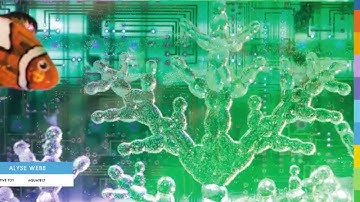 Interaction Design and Development Program Student Demo Reel - George Brown College