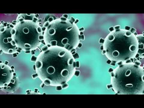 [stess-tv-news]-il-y-a-40-ans-un-livre-a-prédit-le-coronavirus-l'appelant-wuhan-400