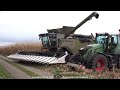 Claas - Fendt - Annaburger -+ / Körnermais Ernten - Harvesting Corn  2021  Westhoff Agrar