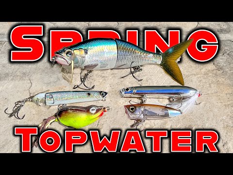 The Best Topwater Lures For Spring And Summer Bass Fishing! 