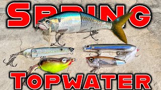 The Best Topwater Lures For Spring And Summer Bass Fishing