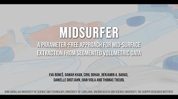 MidSurfer: A Parameter-Free Approach for Mid-Surface Extraction from Segmented Volumetric Data