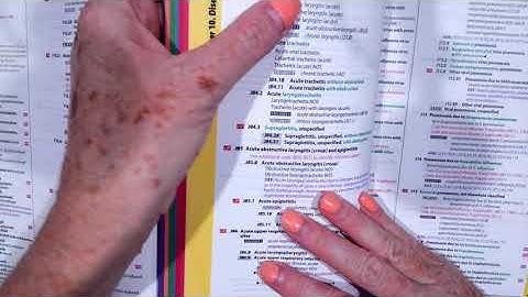 circulatory, respiratory, blood & nervous