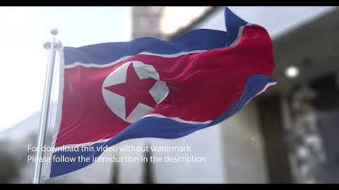 Korea North flag with 3d effect blowing in the wind 3D Flag V2 long