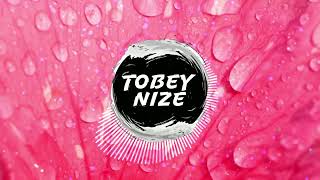 Bosse x LEA – Nur noch ein Lied (TOBEY NIZE REMIX)