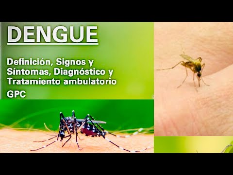 Video: Fiebre Virus: Síntomas, Causas, Diagnóstico, Tratamiento Y Advertenci