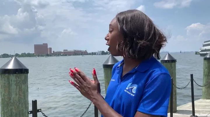 Harborfest Highlights: Parade of Sail