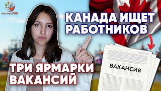 Канада проведет три ярмарки вакансий онлайн. Список востребованных профессий