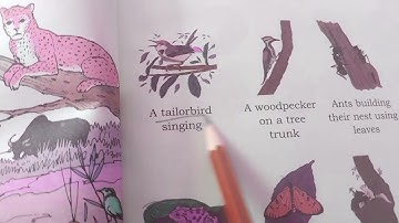 EVS class 3 chapter 5 part 1