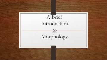 Introduction to Morphology ! Khan Lectures