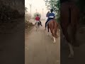 Horse riding toral and sonuhorse watsapp statusshorts short reel ashv premi